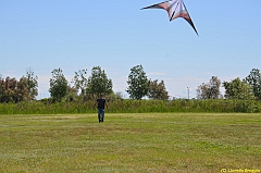 Venice kite festival_0115